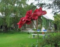 The View bed and breakfast