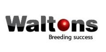 Waltons Western Cape Regional Office