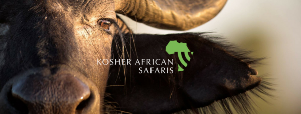 Kosher African Safaris