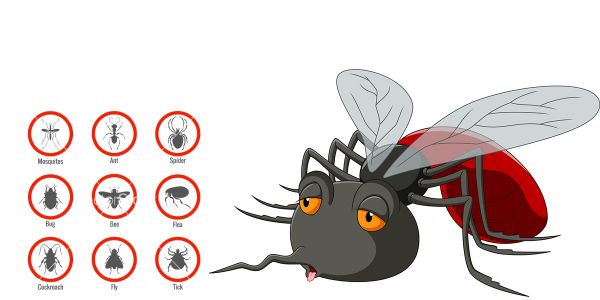 Pest Control Near Me