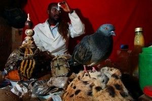 Traditional Herbalist Healers In Soweto +27780597608