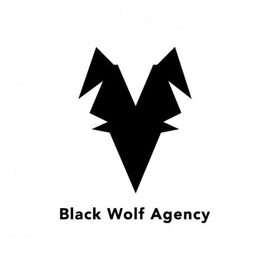 Black Wolf Agency digital marketing agency