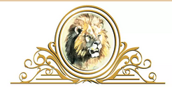 Royal Safaris Bush Braai and Safaris
